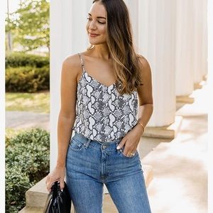 The Drop by Kathleen Barnes Python Tank